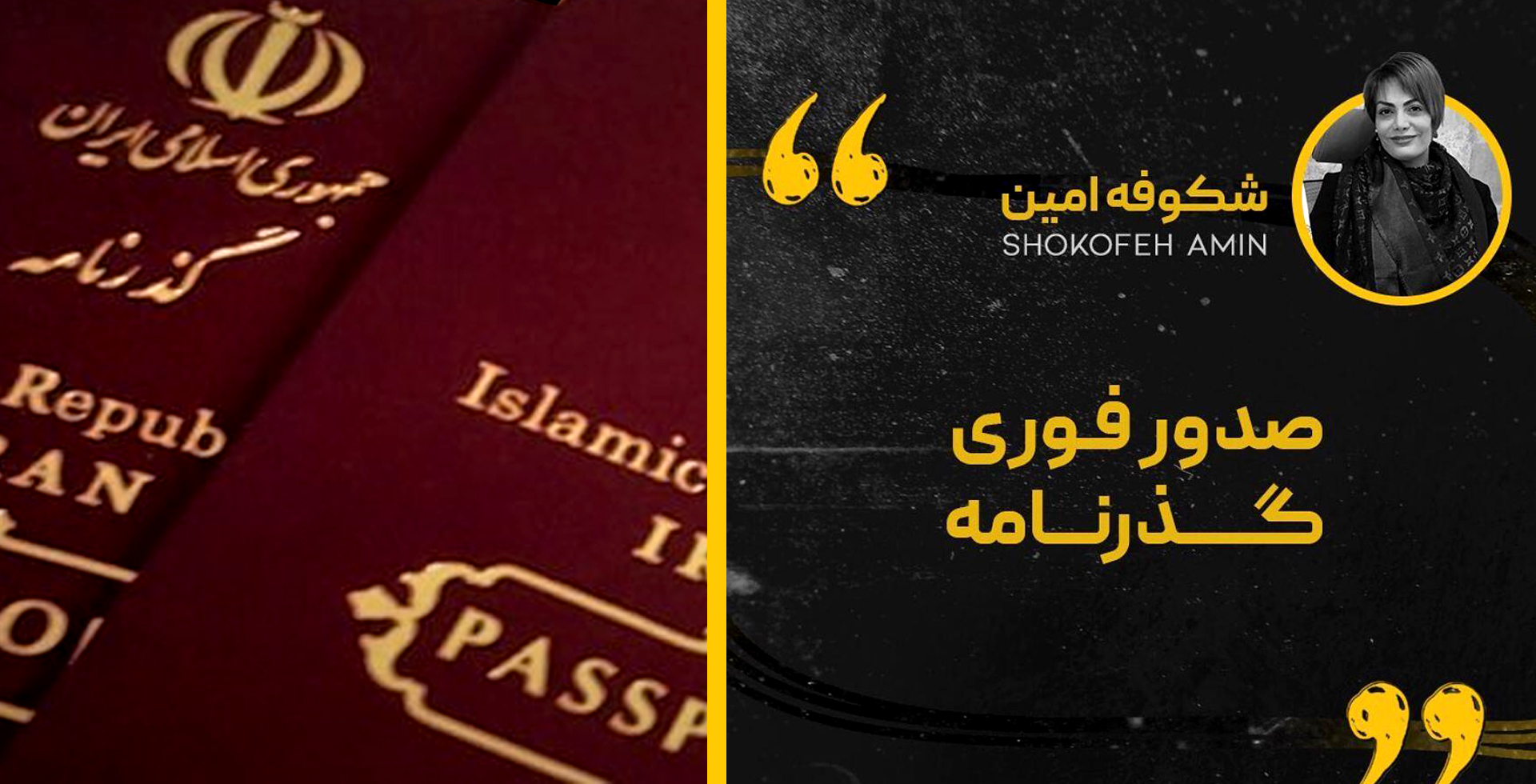 Shokofeh Amin Passport